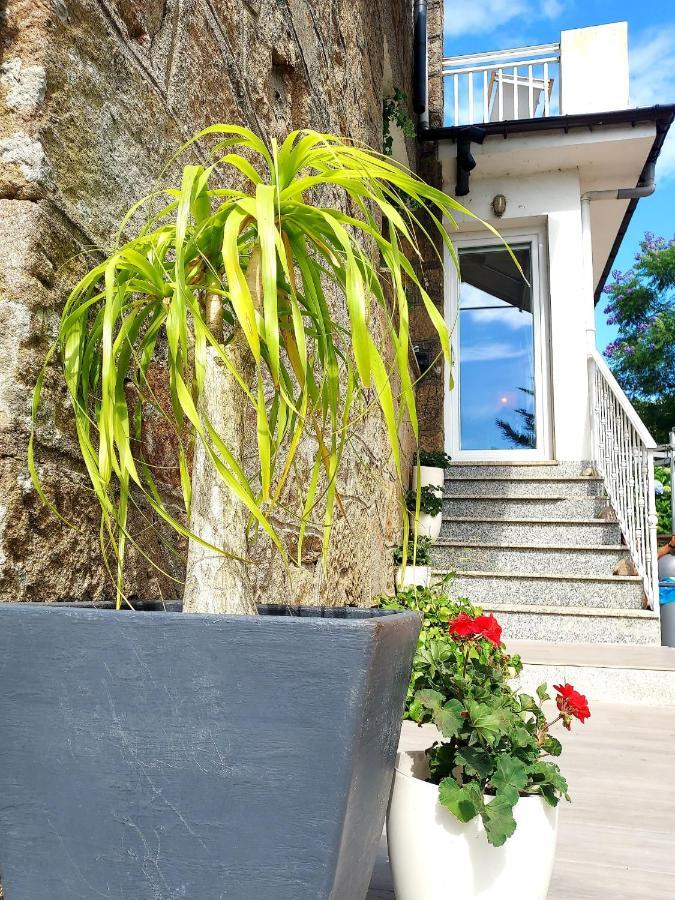 Villa Anselma, Casa Compartida Pontevedra Exteriör bild